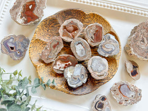 Baker Ranch Agates || New Mexico || Vintage "Chuck" Collection