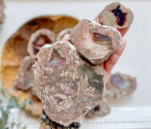 Baker Ranch Agates || New Mexico || Vintage "Chuck" Collection