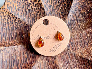 Baltic Amber Post Sterling Earrings
