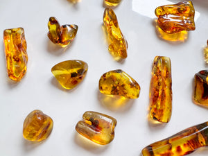 Baltic Amber Tumbled Stones || Poland
