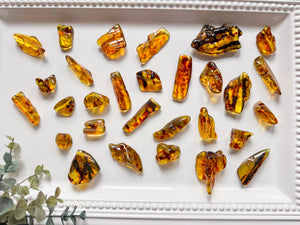 Baltic Amber Tumbled Stones || Poland