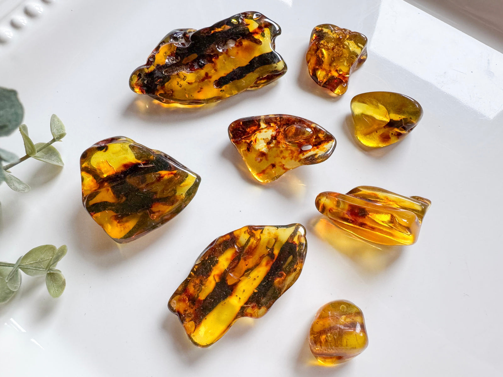 Baltic Amber Tumbled Stones || Poland