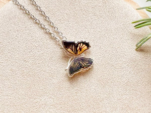 Baltic Amber Woodland Necklace Sterling Collection