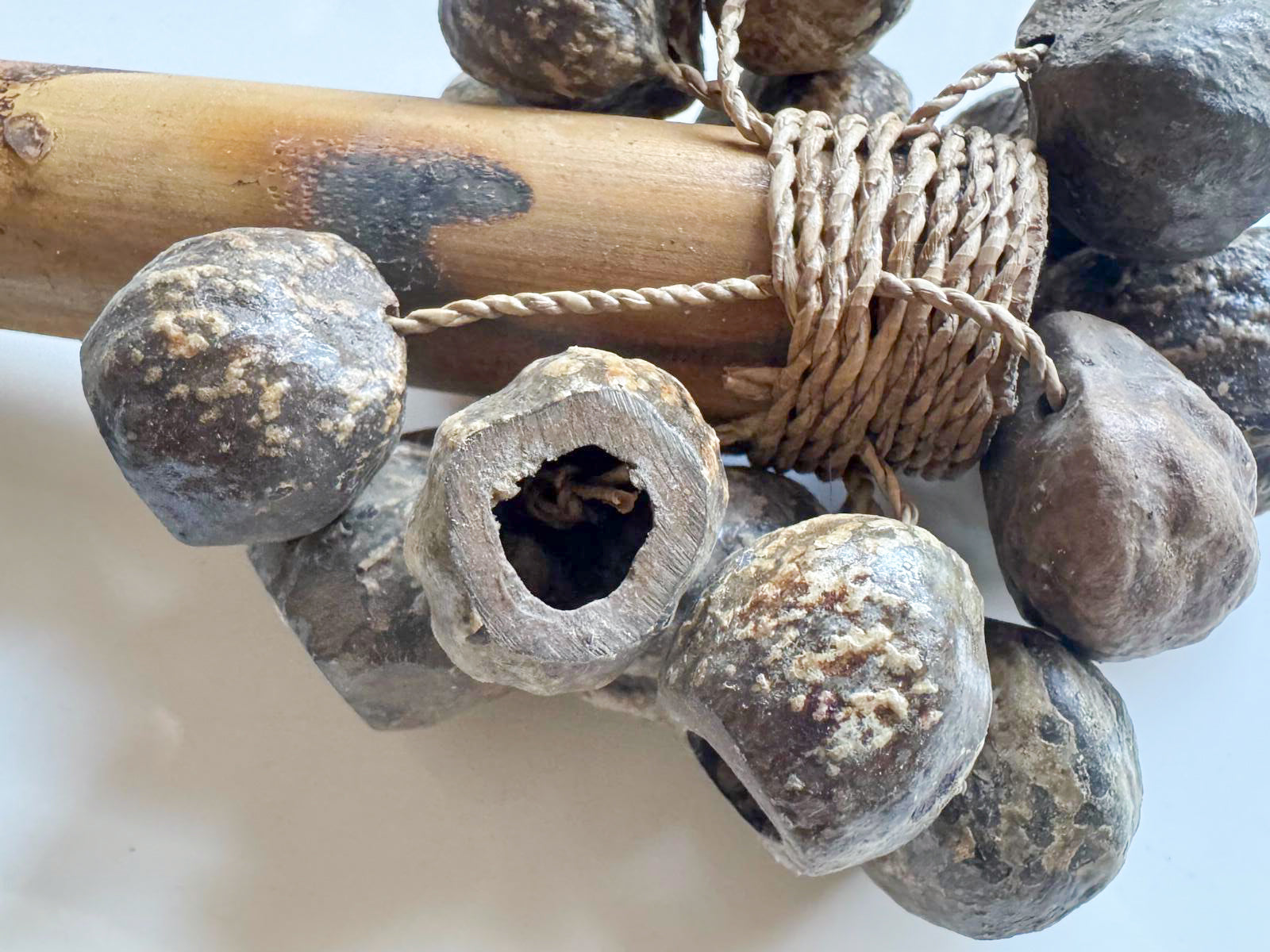 Bamboo and Kenari Seed Rattle