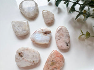 Belomorite Polished Pieces || Russian Moonstone