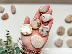 Belomorite Polished Pieces || Russian Moonstone