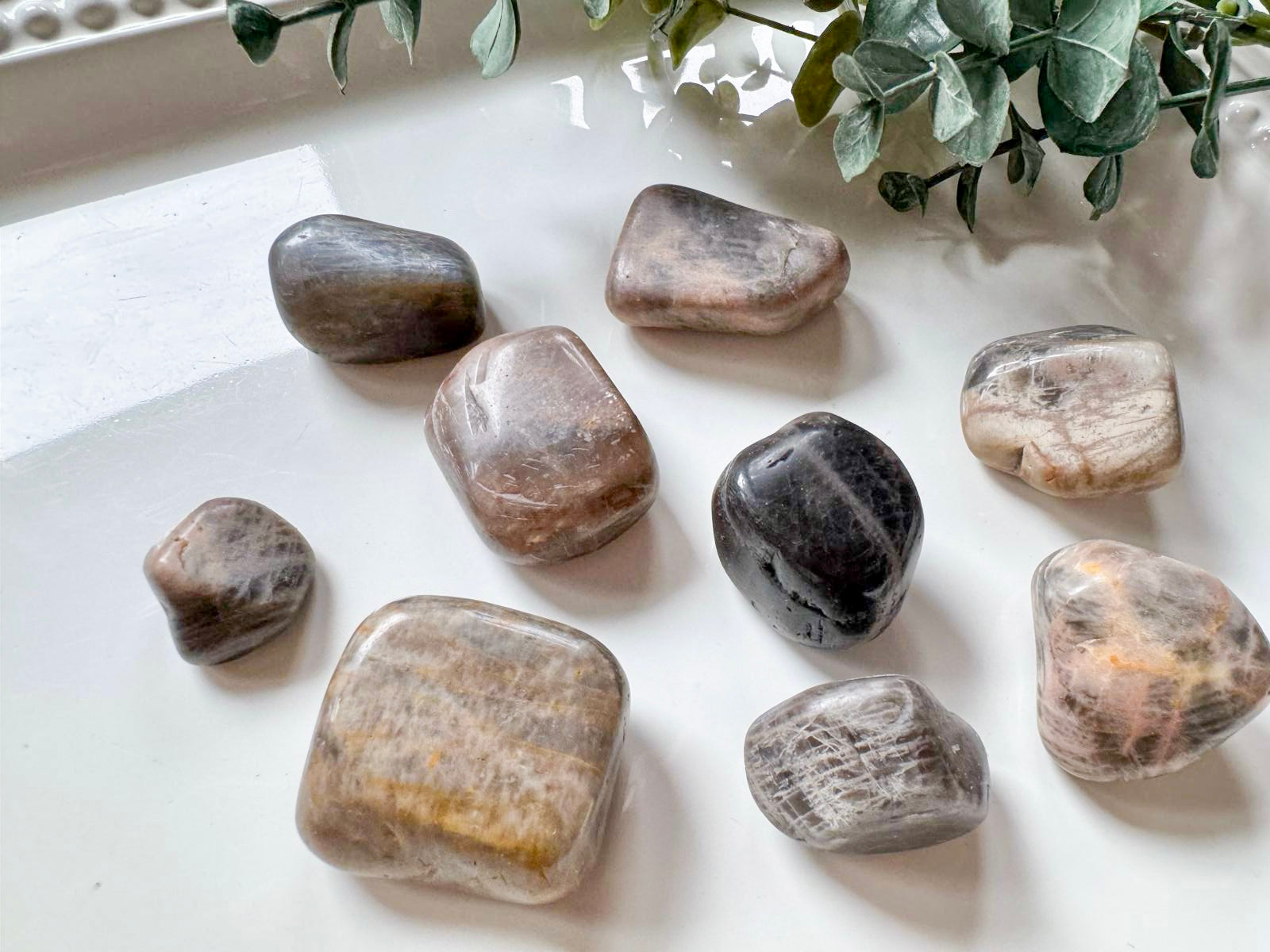 Black Moonstone Tumbled Stone