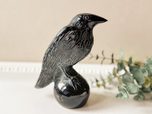 Black Obsidian Raven Carving || 5.5"