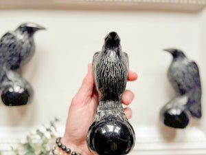 Black Obsidian Raven Carving || 5.5"