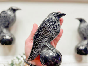 Black Obsidian Raven Carving || 5.5"