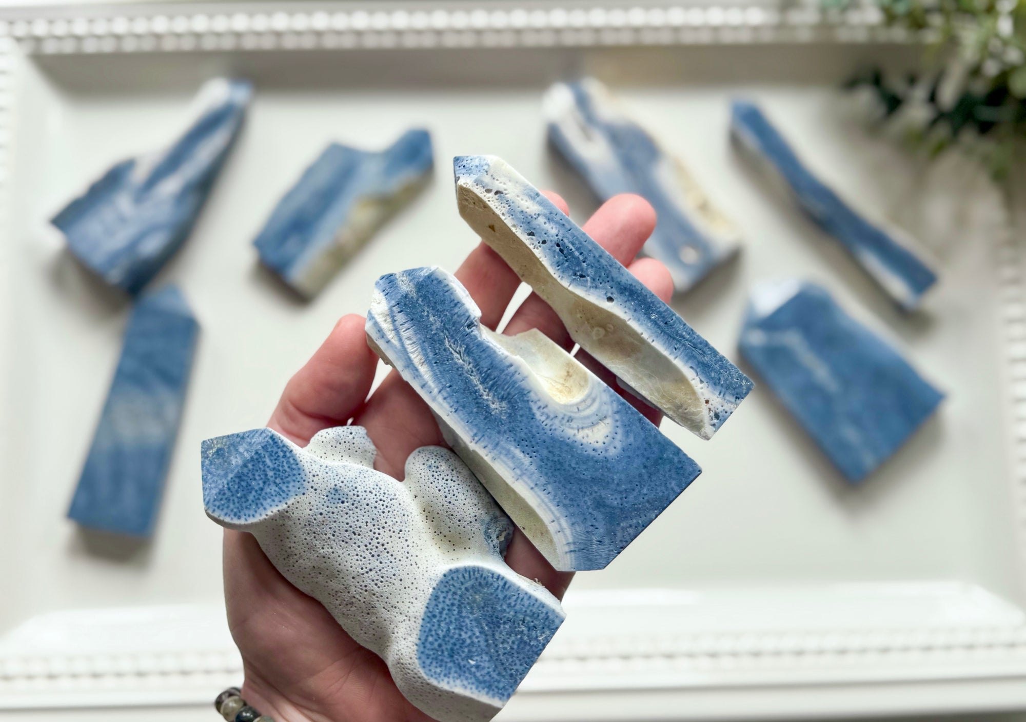 Blue Coral Tower
