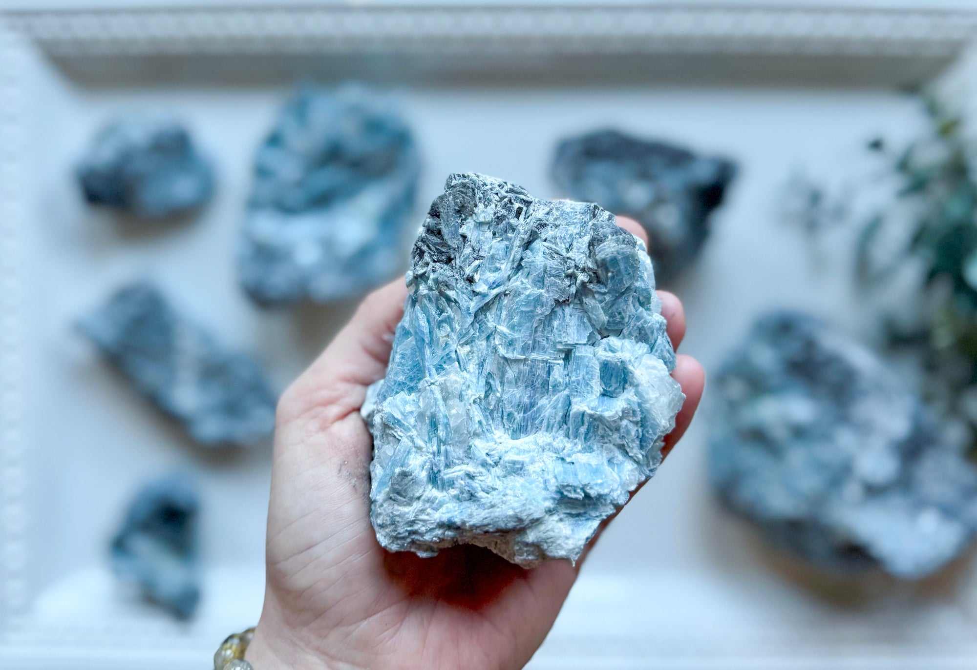 Blue Green Kyanite || Brazil