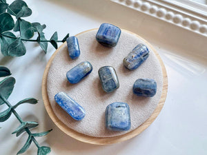 Blue Kyanite Tumbled Stone || Grade A