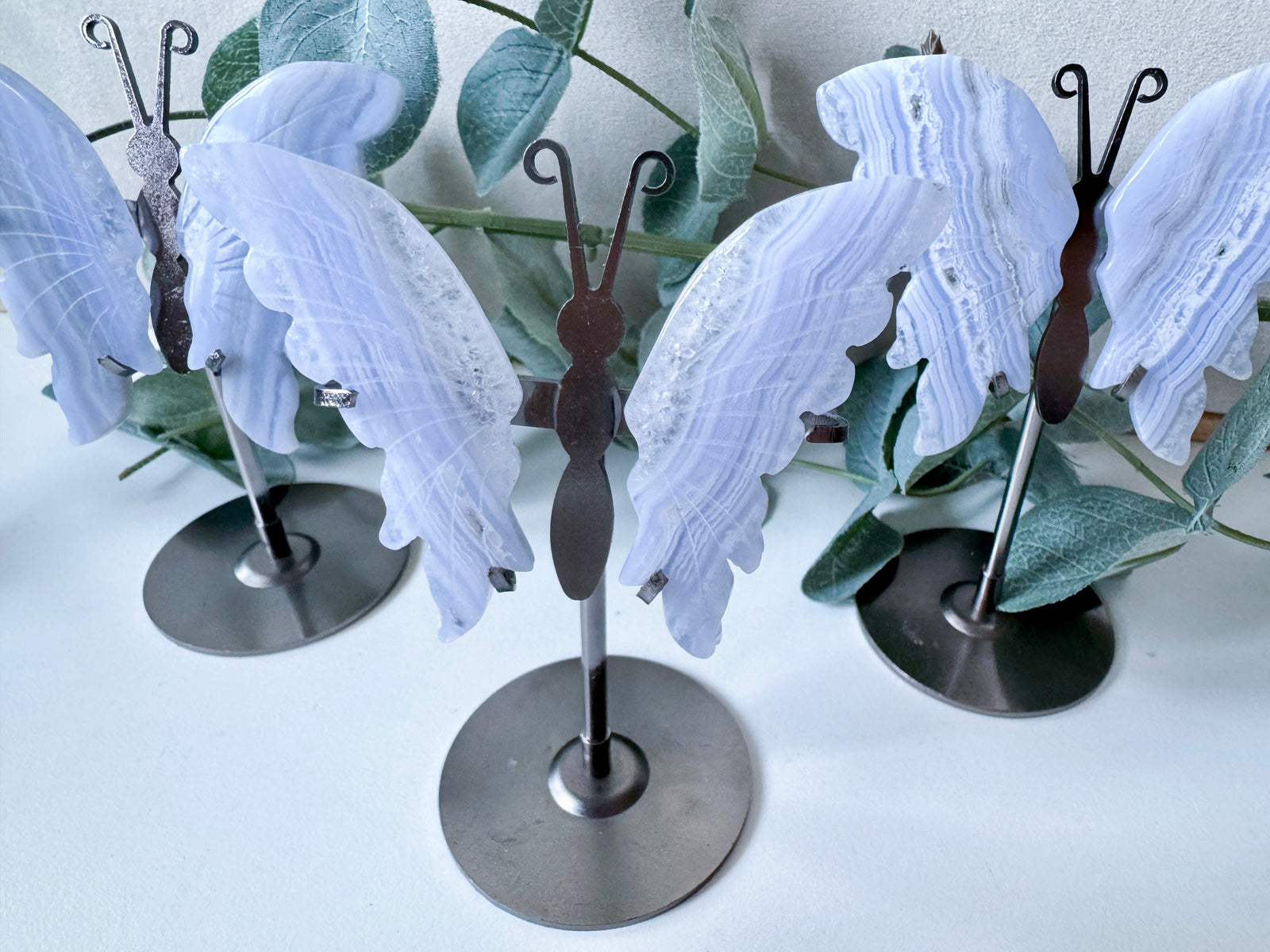 Blue Lace Agate Butterfly Wings in Metal Stand