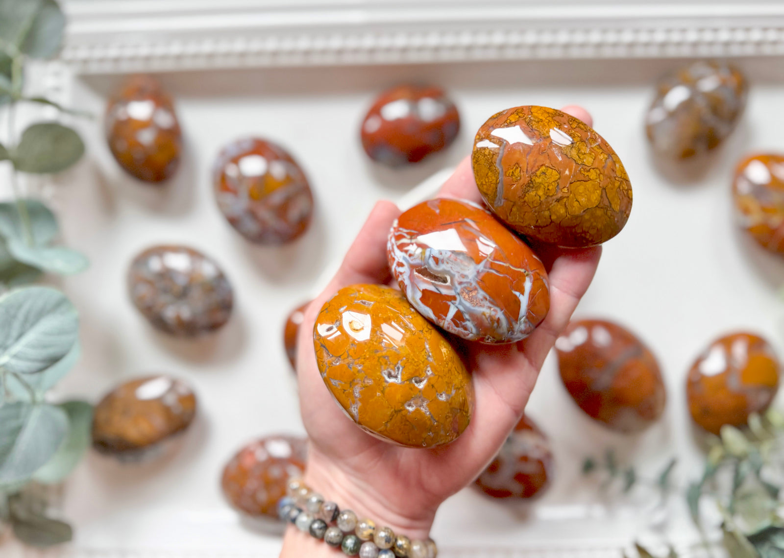 Brecciated Jasper in Agate Palm 