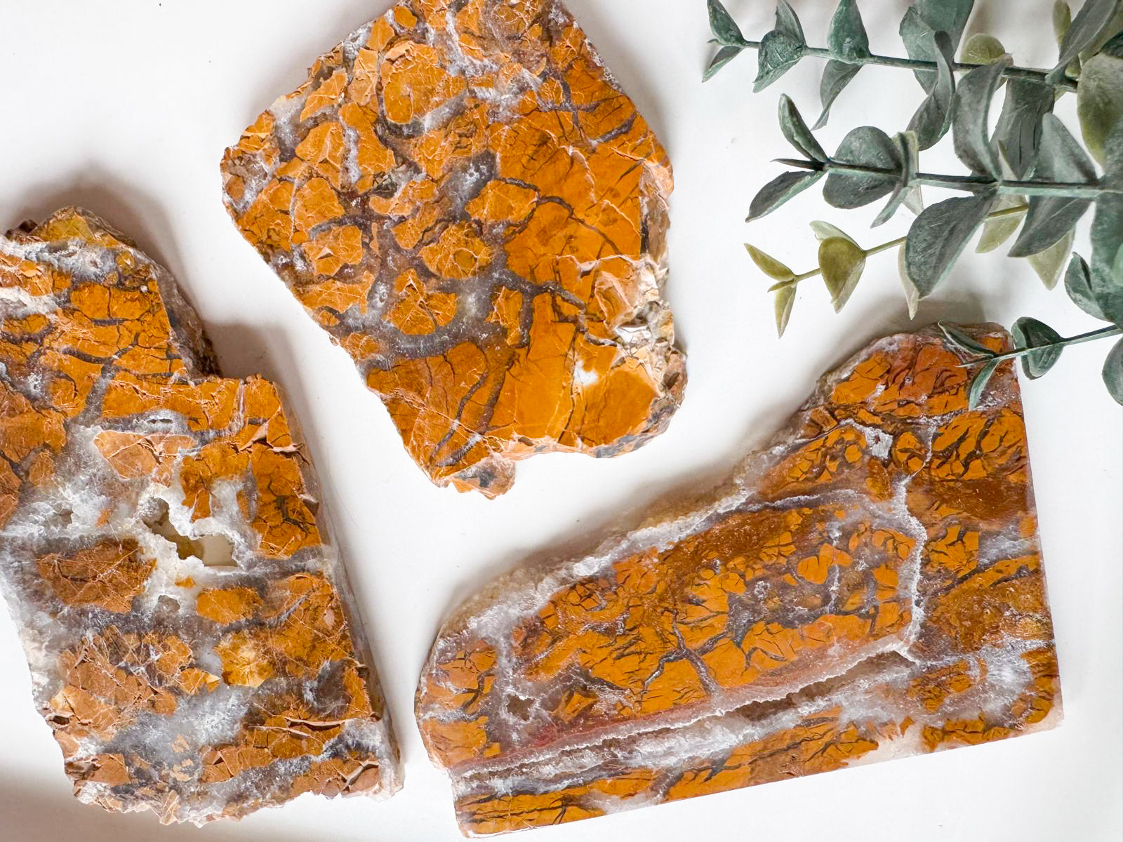 Brecciated Jasper in Agate Slab