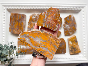 Brecciated Jasper in Agate Slab