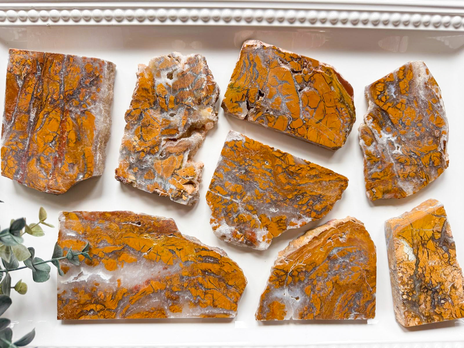 Brecciated Jasper in Agate Slab