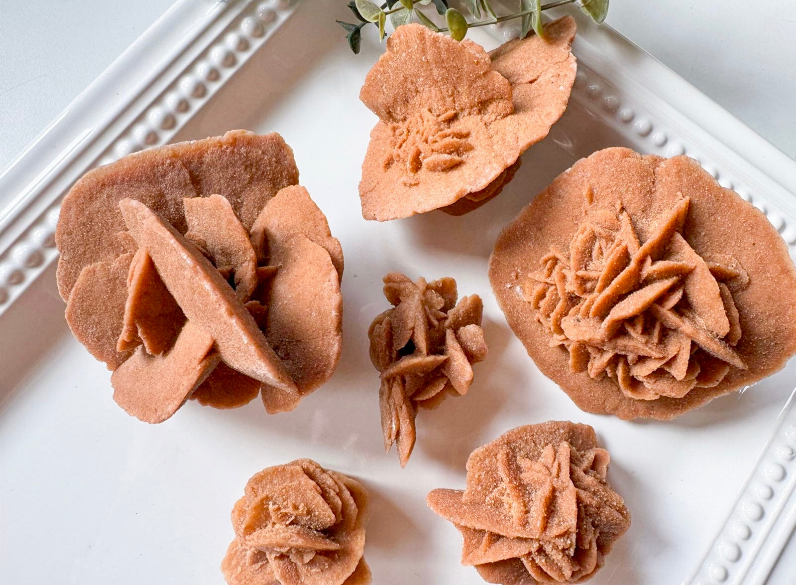 Brown Sugar Desert Rose Selenite || Morocco