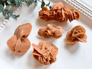 Brown Sugar Desert Rose Selenite || Morocco