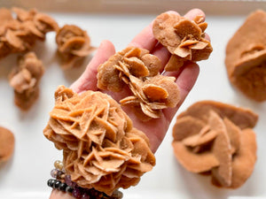 Brown Sugar Desert Rose Selenite || Morocco