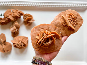 Brown Sugar Desert Rose Selenite || Morocco