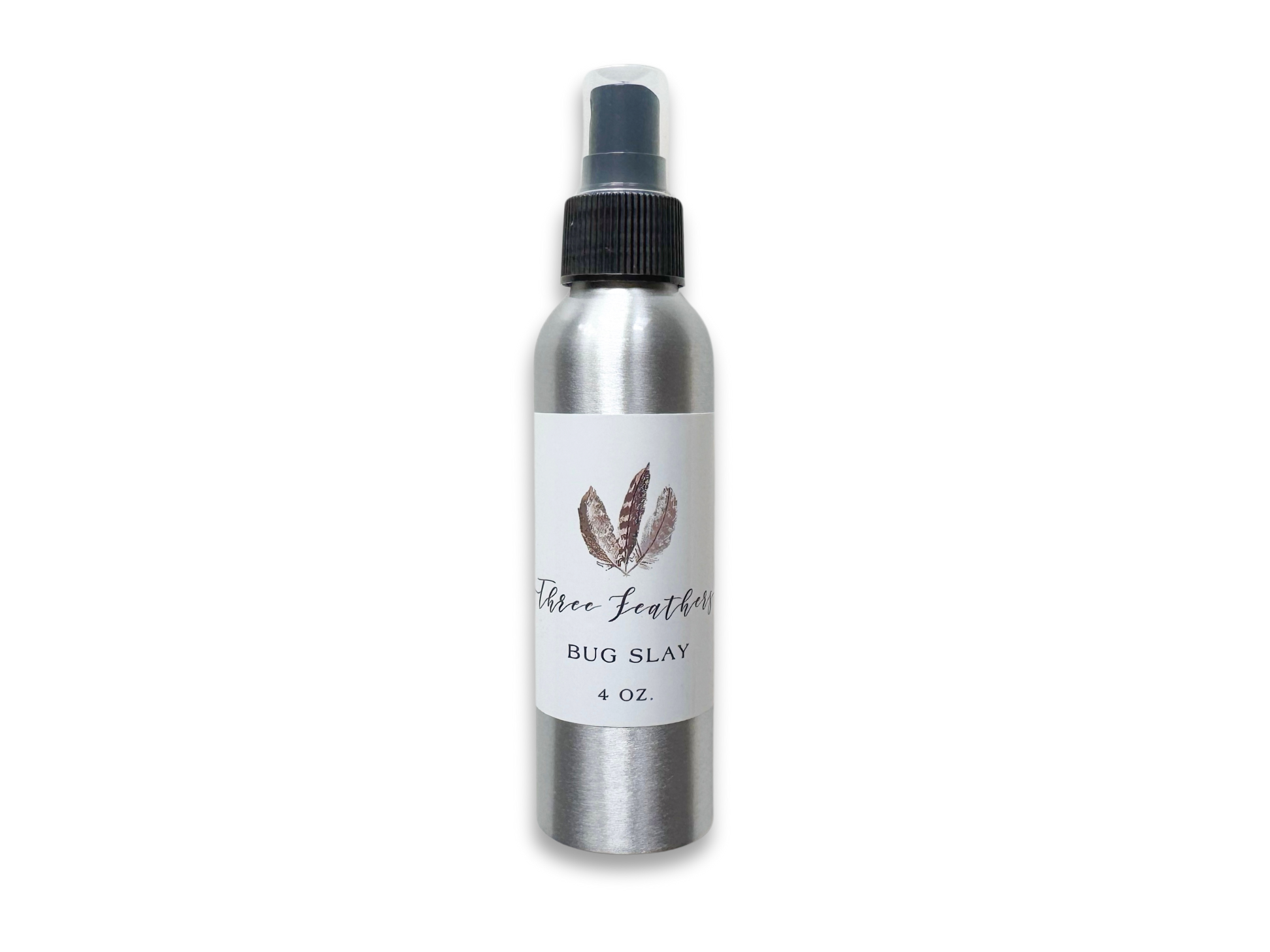 Bug Slay Mist 4oz