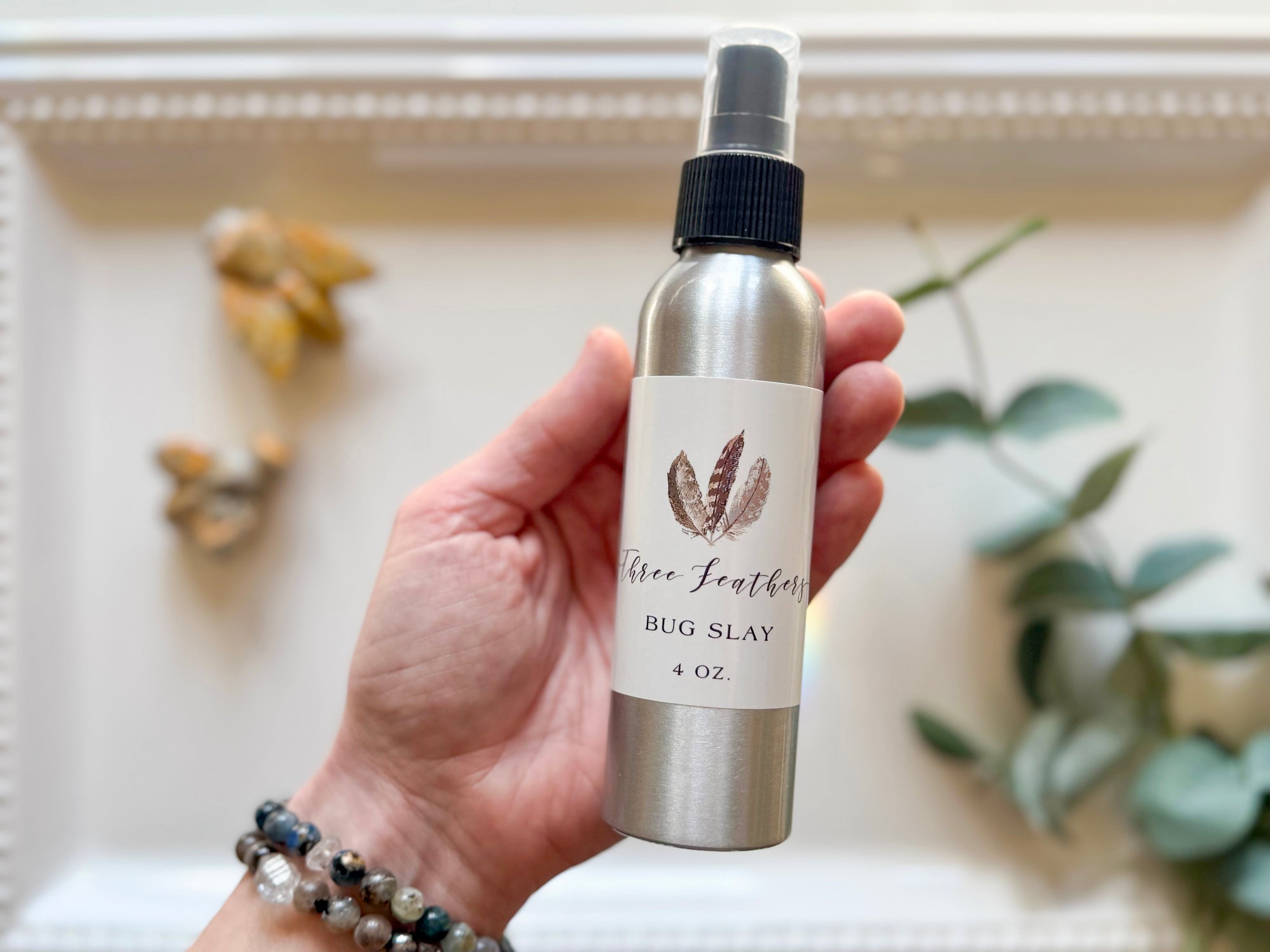 Bug Slay Mist 4oz