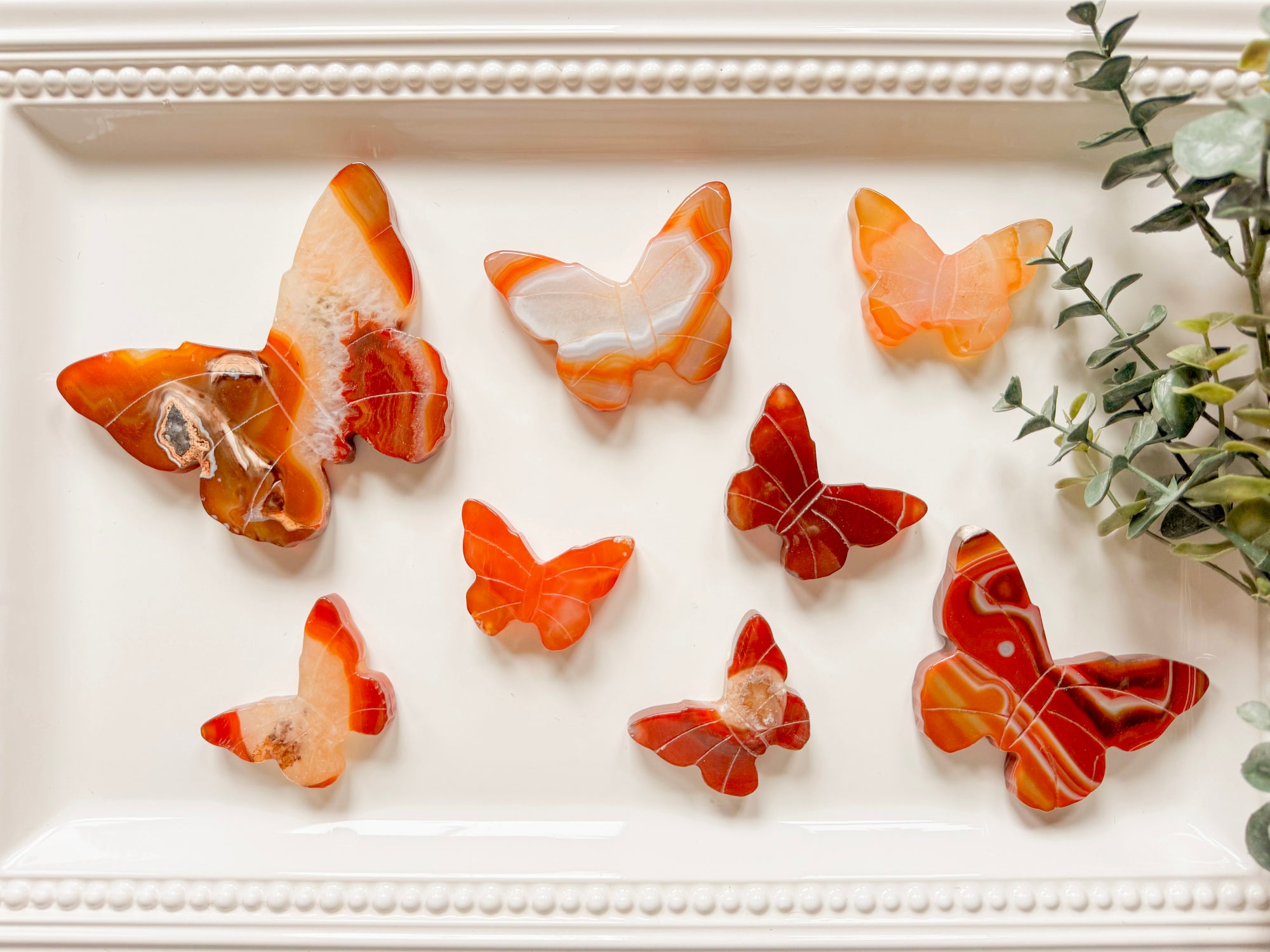 Carnelian Butterfly Carving