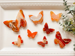 Carnelian Butterfly Carving
