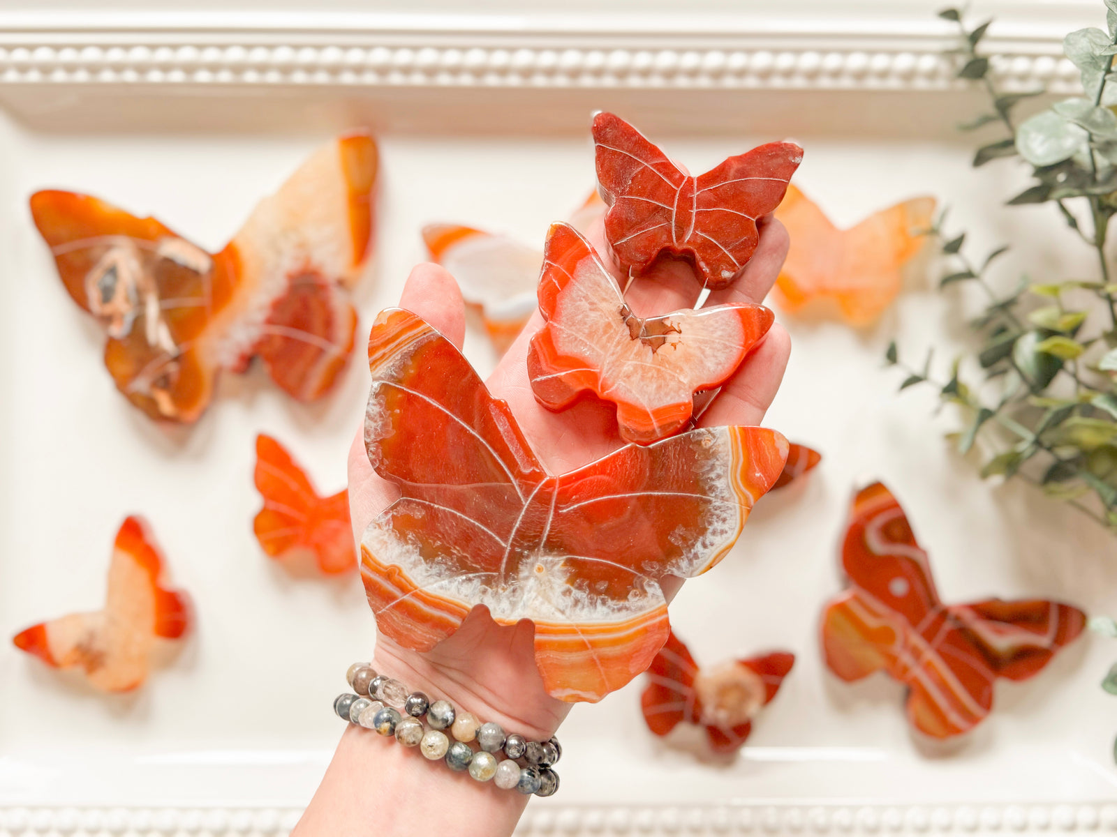 Carnelian Butterfly Carving