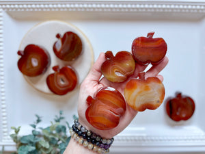 Carnelian Flat Apple Carving