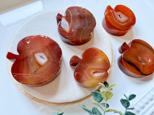 Carnelian Flat Apple Carving