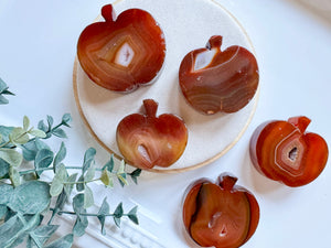 Carnelian Flat Apple Carving