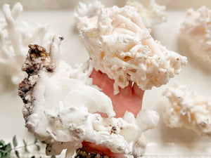 Cave Calcite Aragonite Stalactite || Mexico