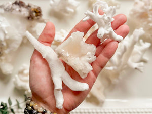Cave Calcite Aragonite Stalactite || Mexico