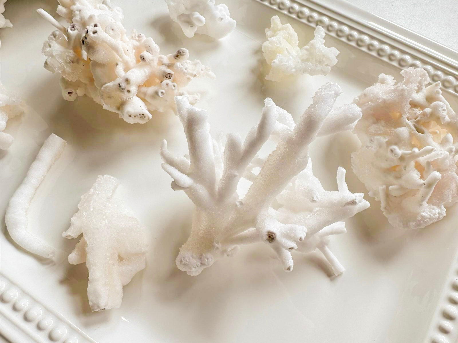 Cave Calcite Aragonite Stalactite || Mexico