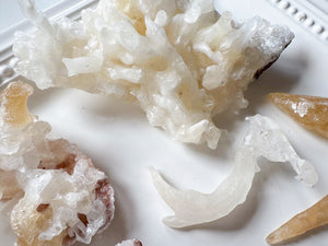 Cave Calcite Helictites || Santa Eulalia Mine || Chihuahua, Mexico