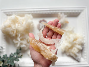 Cave Calcite Helictites || Santa Eulalia Mine || Chihuahua, Mexico