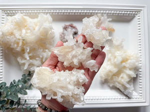 Cave Calcite Helictites || Santa Eulalia Mine || Chihuahua, Mexico