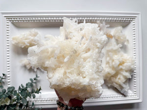 Cave Calcite Helictites || Santa Eulalia Mine || Chihuahua, Mexico