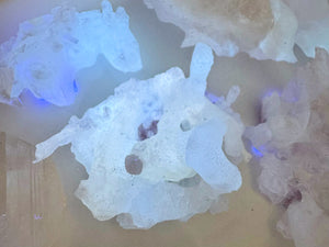 Cave Calcite Helictites || Santa Eulalia Mine || Chihuahua, Mexico