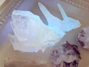 Cave Calcite Helictites || Santa Eulalia Mine || Chihuahua, Mexico