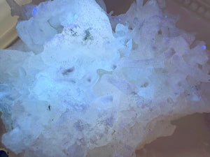 Cave Calcite Helictites || Santa Eulalia Mine || Chihuahua, Mexico
