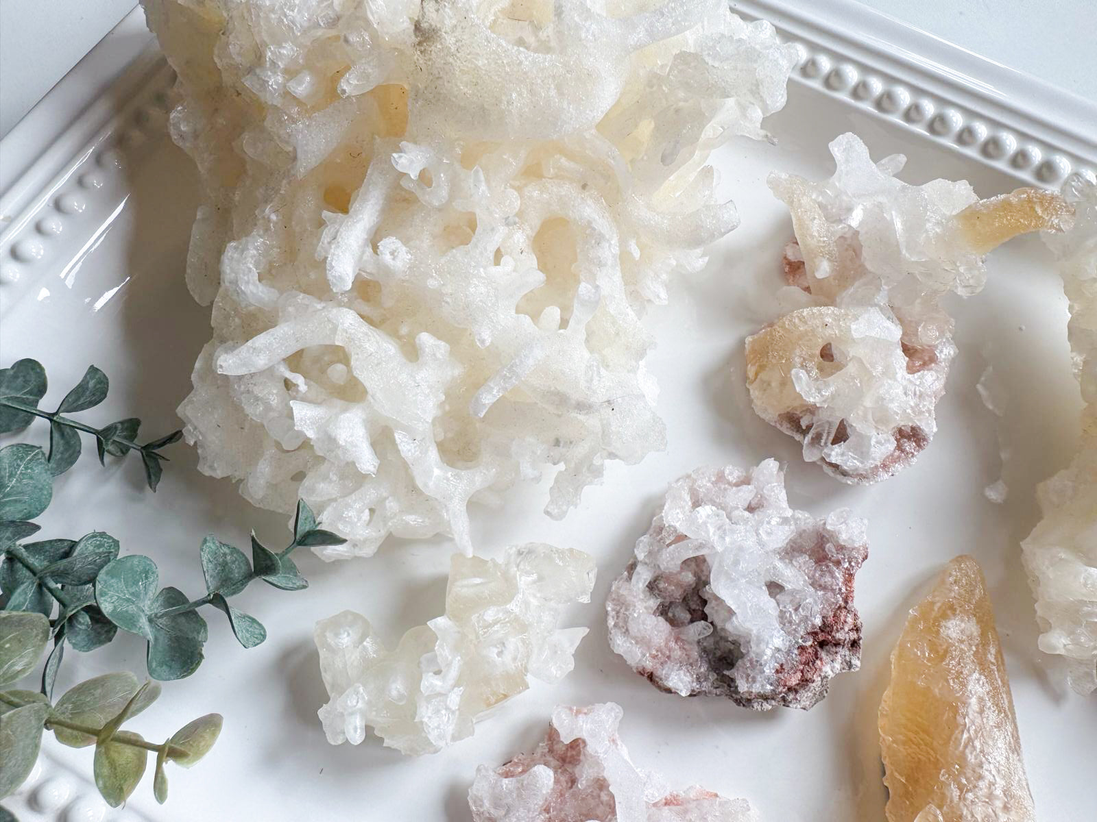 Cave Calcite Helictites || Santa Eulalia Mine || Chihuahua, Mexico