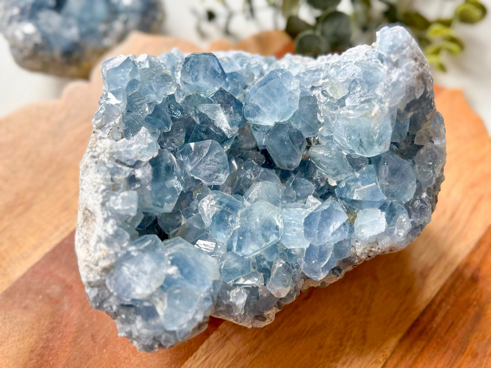 Celestite Large Cluster || Premium