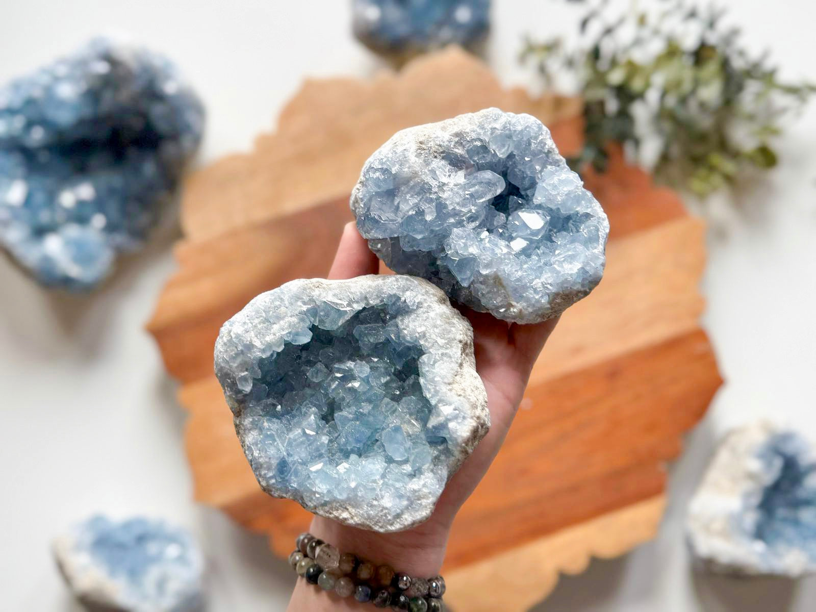 Celestite Large Cluster || Premium
