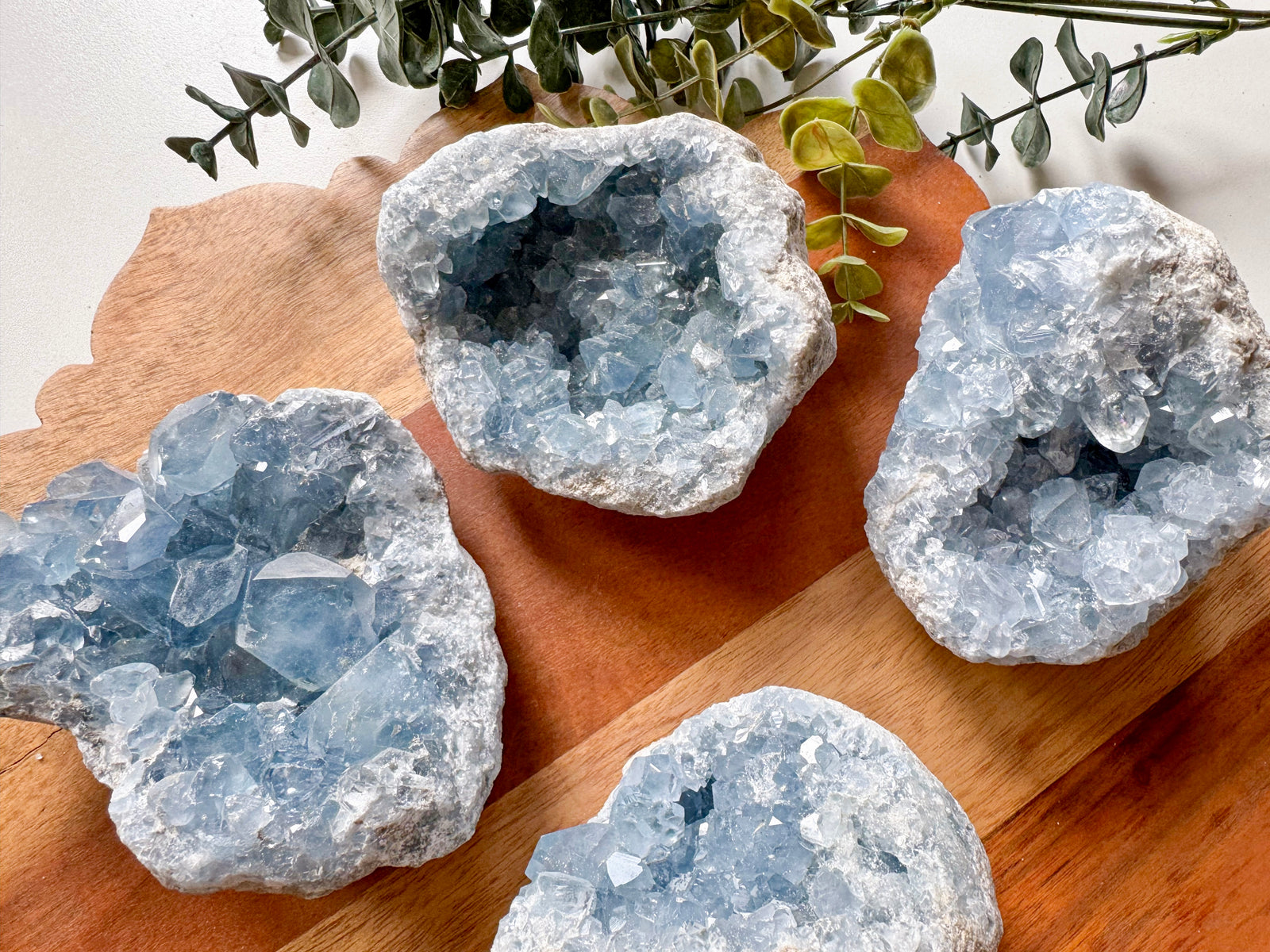 Celestite Large Cluster || Premium