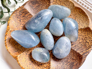 Celestite Polished Freeform Palm Stone