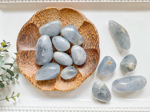 Celestite Polished Freeform Palm Stone